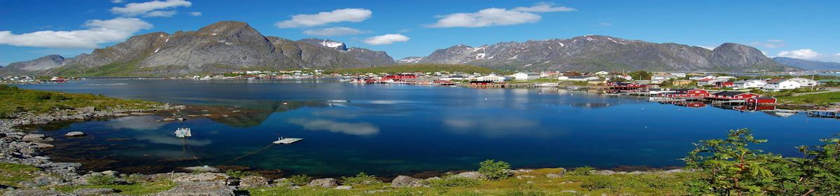 PARE! LEIA! REFLITA! PRATIQUE!