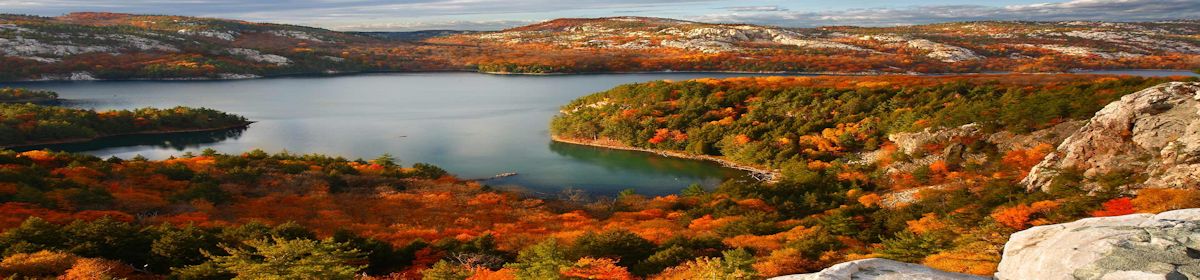 PARE! LEIA! REFLITA! PRATIQUE!